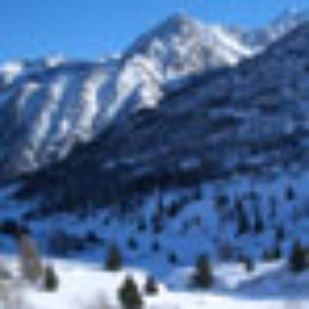 Los Carbones Taco Shop